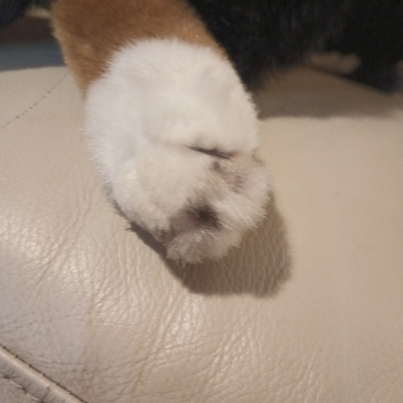 Vintage E & J Classic Collection Bernese Mountain Dog Stuffed Plush M/L - Picture 13 of 16